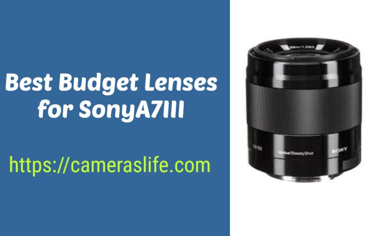 Best Budget Lenses for Sony A7iii