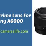 Best Prime Lens for Sonay A6000