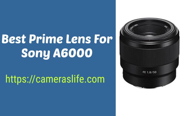 Best Prime Lens For Sony A6000