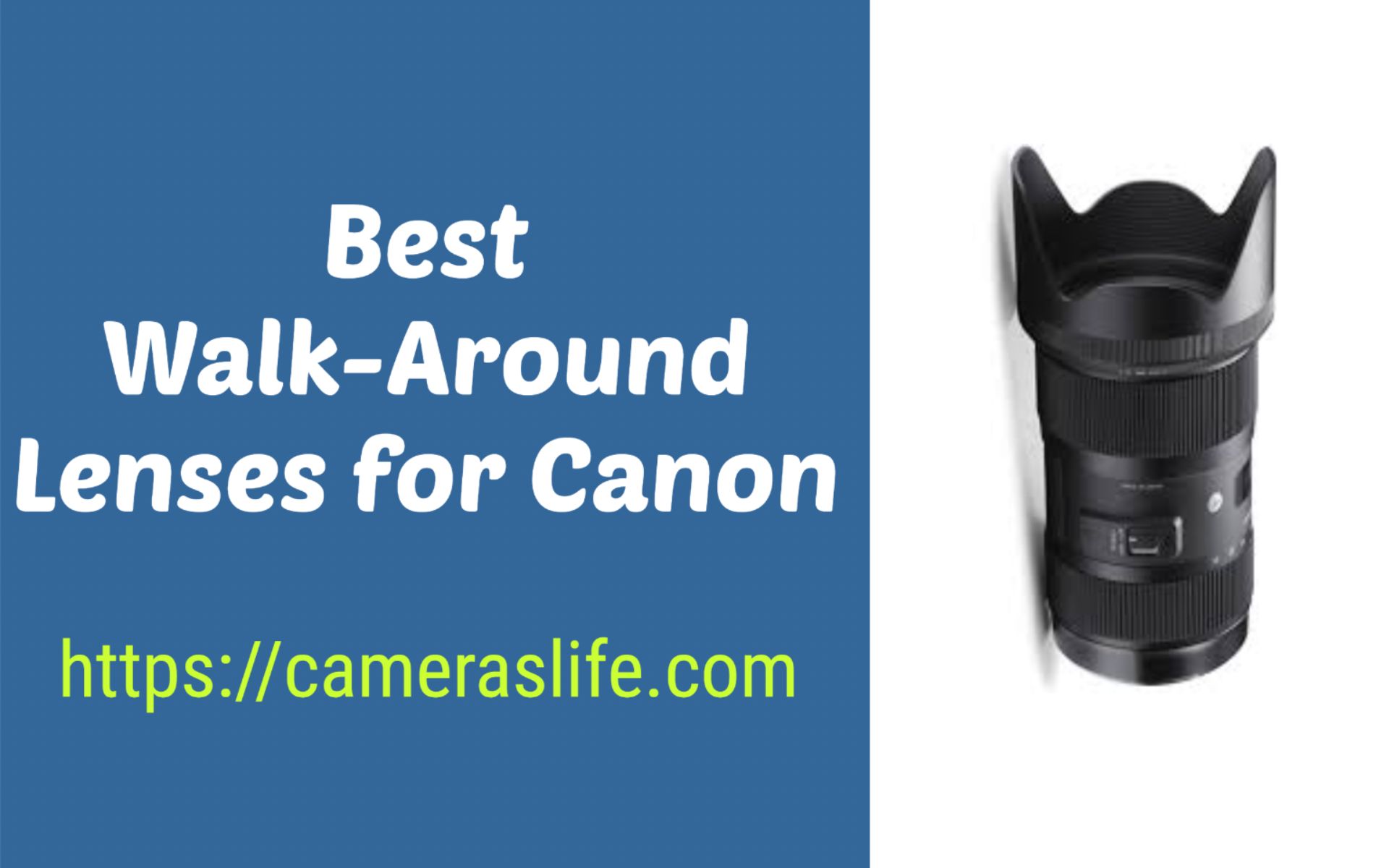 Best Walk-Around Lenses for Canon