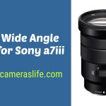 Best Wide Angle Lens for Sony a7iii