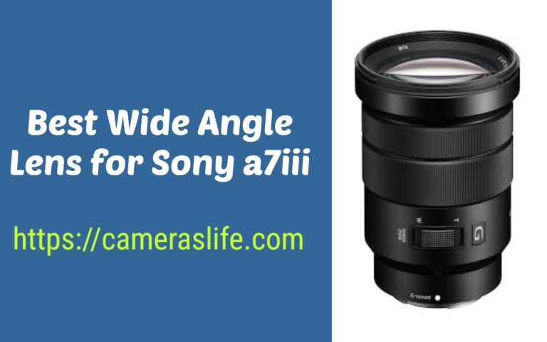 Best Wide Angle Lens for Sony a7iii