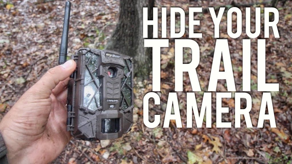 How to hide trail cameras from humans?