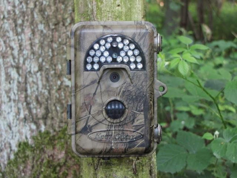 How to hide trail cameras from humans?