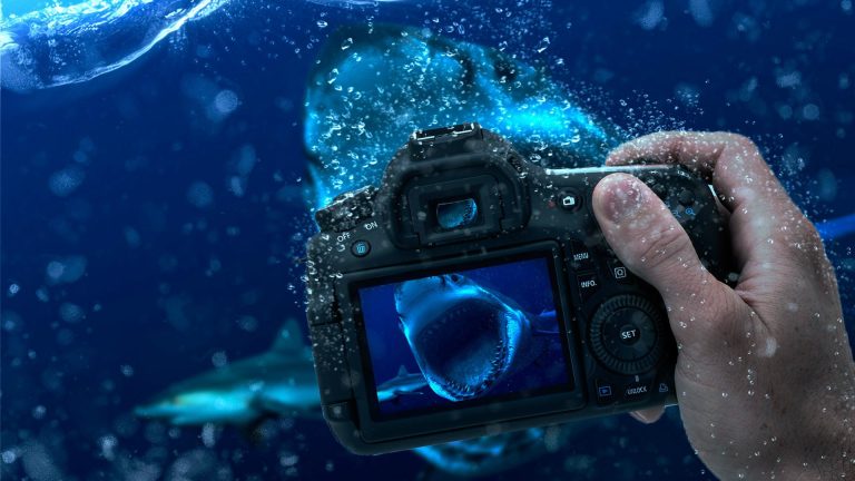 How to take good Underwater photos