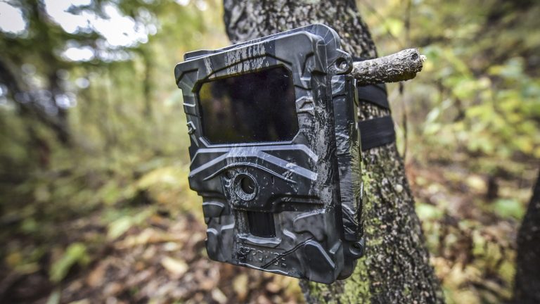 List of 7 Best Trail Cameras with Buying Guide [2022]